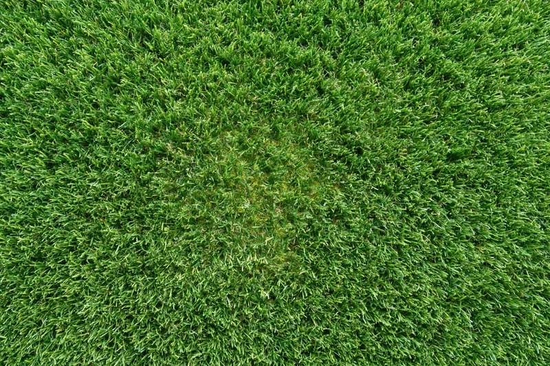Overhead view of closely trimmed artificial turf grass surface