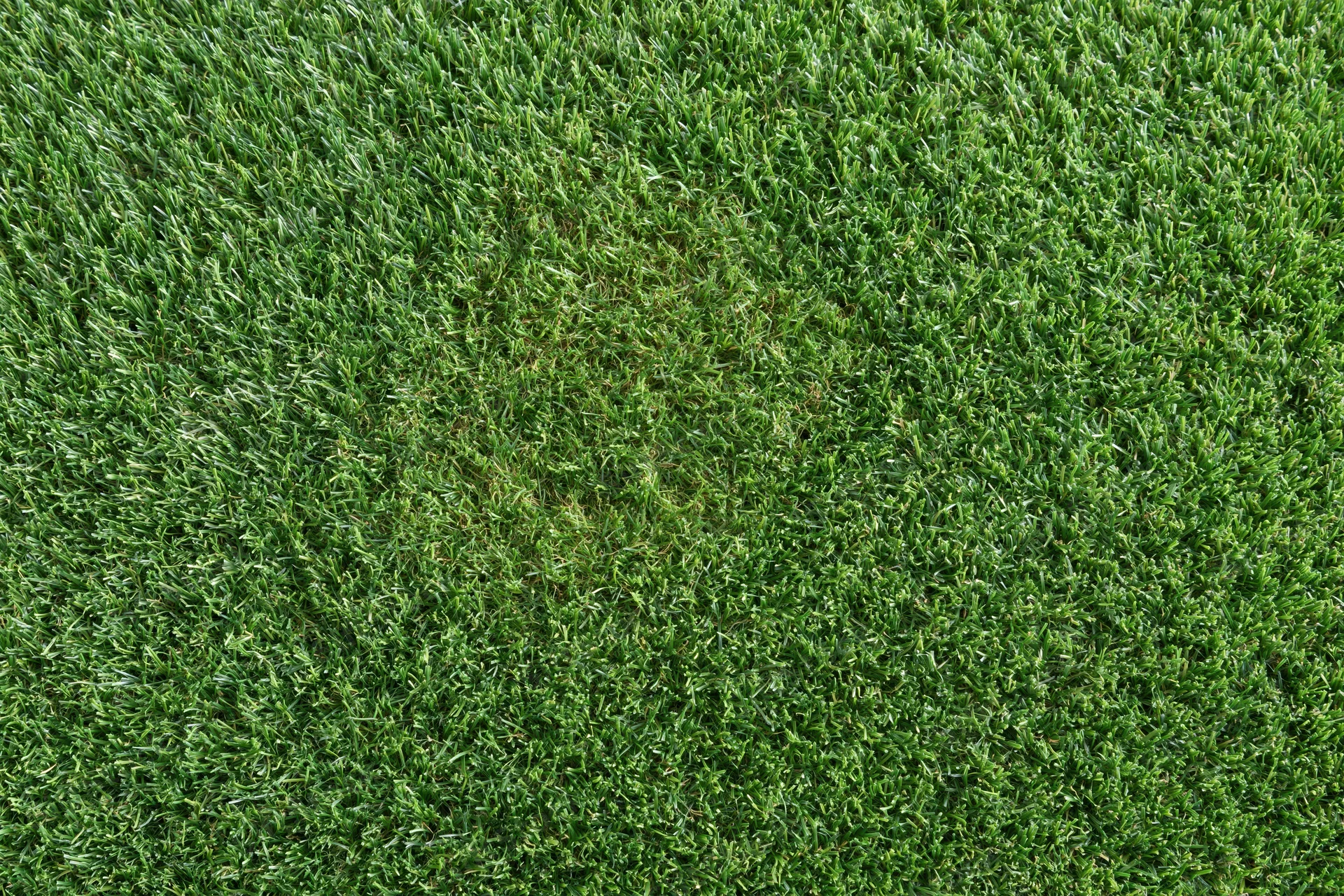 Overhead view of closely trimmed artificial turf grass surface