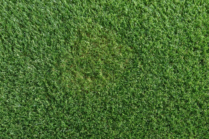 Overhead view of closely trimmed artificial turf grass surface