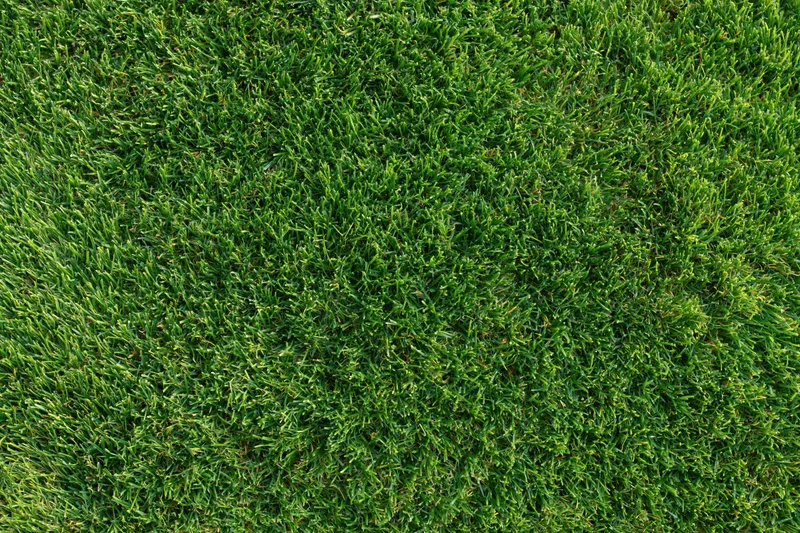 Closely mowed green grass lawn viewed from directly above filling the frame