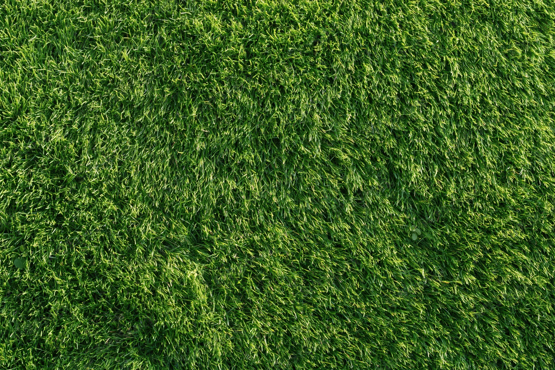 Closely mowed green grass lawn viewed from directly above filling the frame