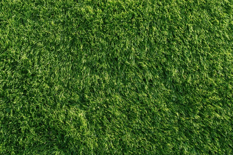 Closely mowed green grass lawn viewed from directly above filling the frame