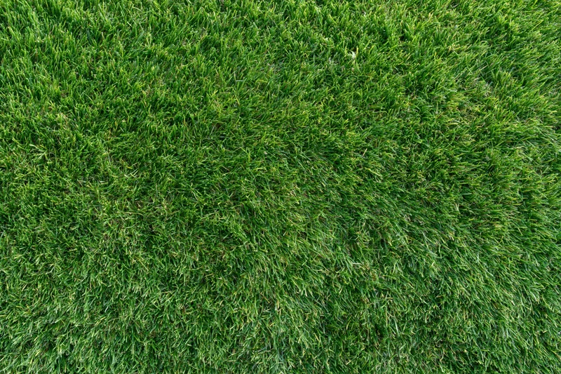 Dense short-cut green grass viewed from directly above filling the frame