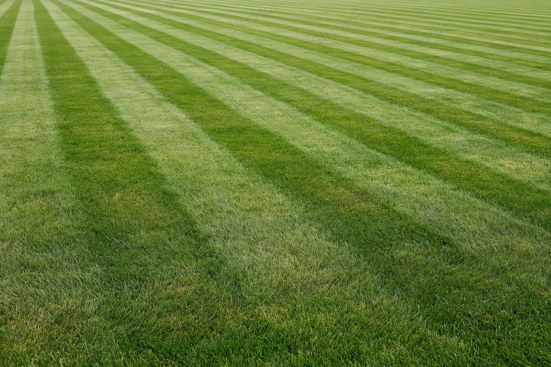 Freshly mowed grass with diagonal striped pattern covering an athletic field