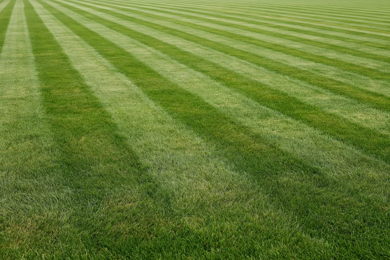 Freshly mowed grass with diagonal striped pattern covering an athletic field