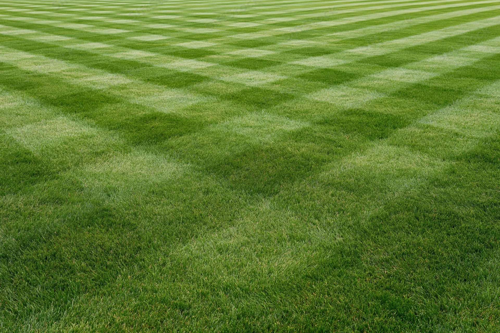 Freshly mowed athletic field grass with striped pattern filling the frame