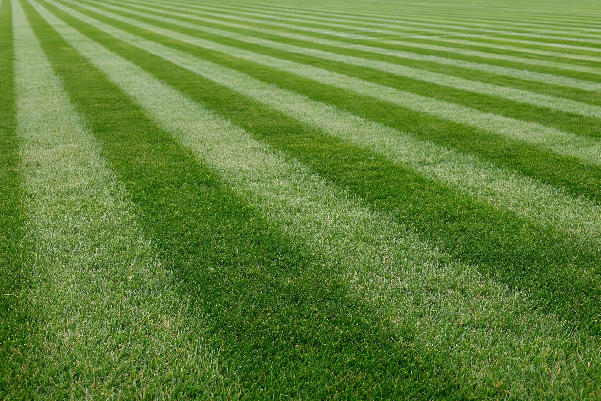 Freshly mowed athletic field grass with diagonal striped pattern filling the frame