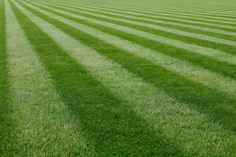 Freshly mowed athletic field grass with diagonal striped pattern filling the frame