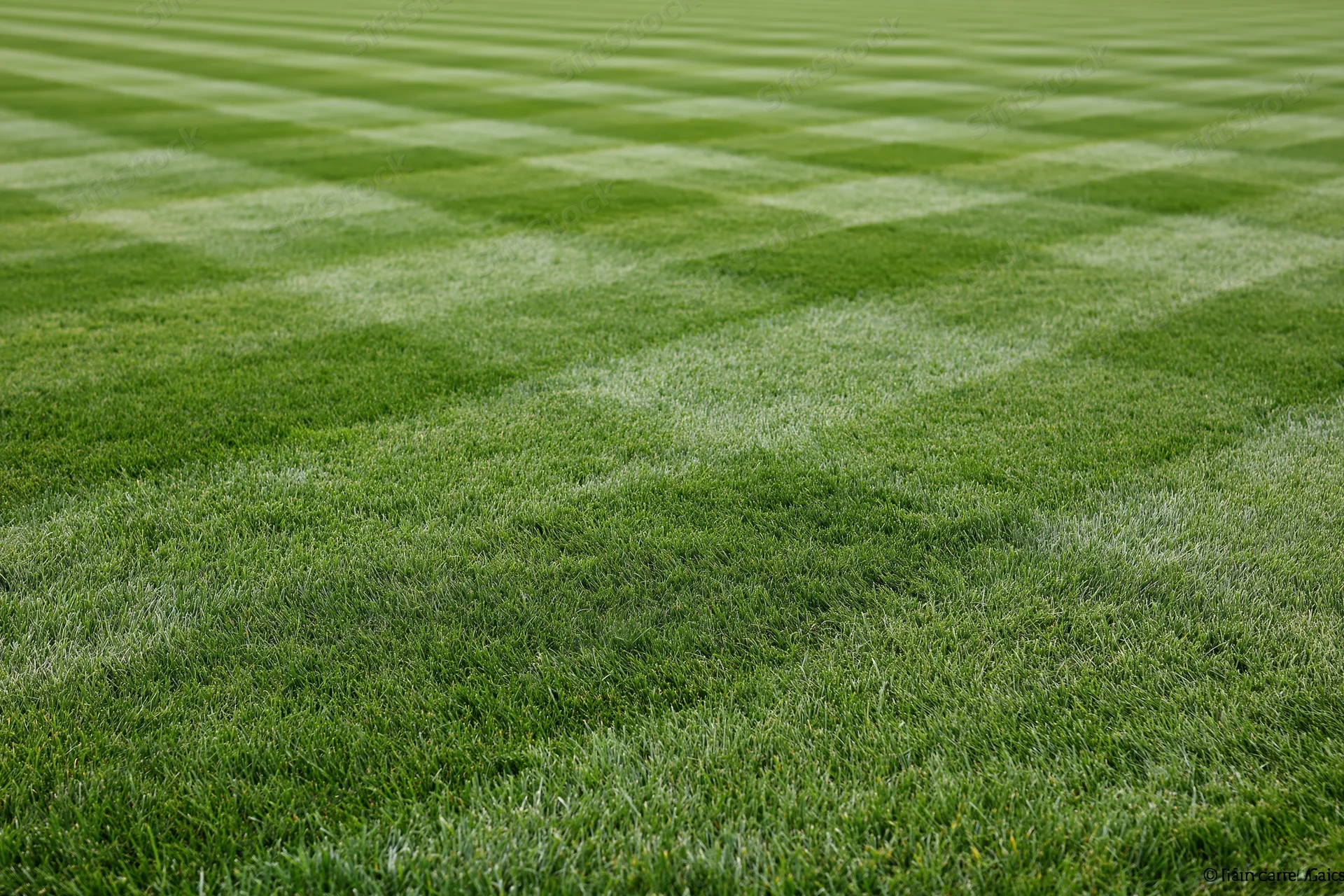 Freshly mowed athletic field grass with striped pattern filling the frame