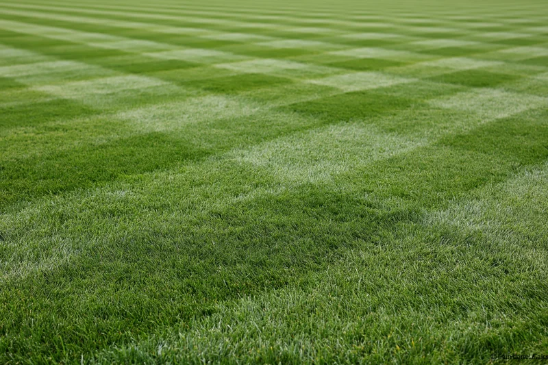 Freshly mowed athletic field grass with striped pattern filling the frame