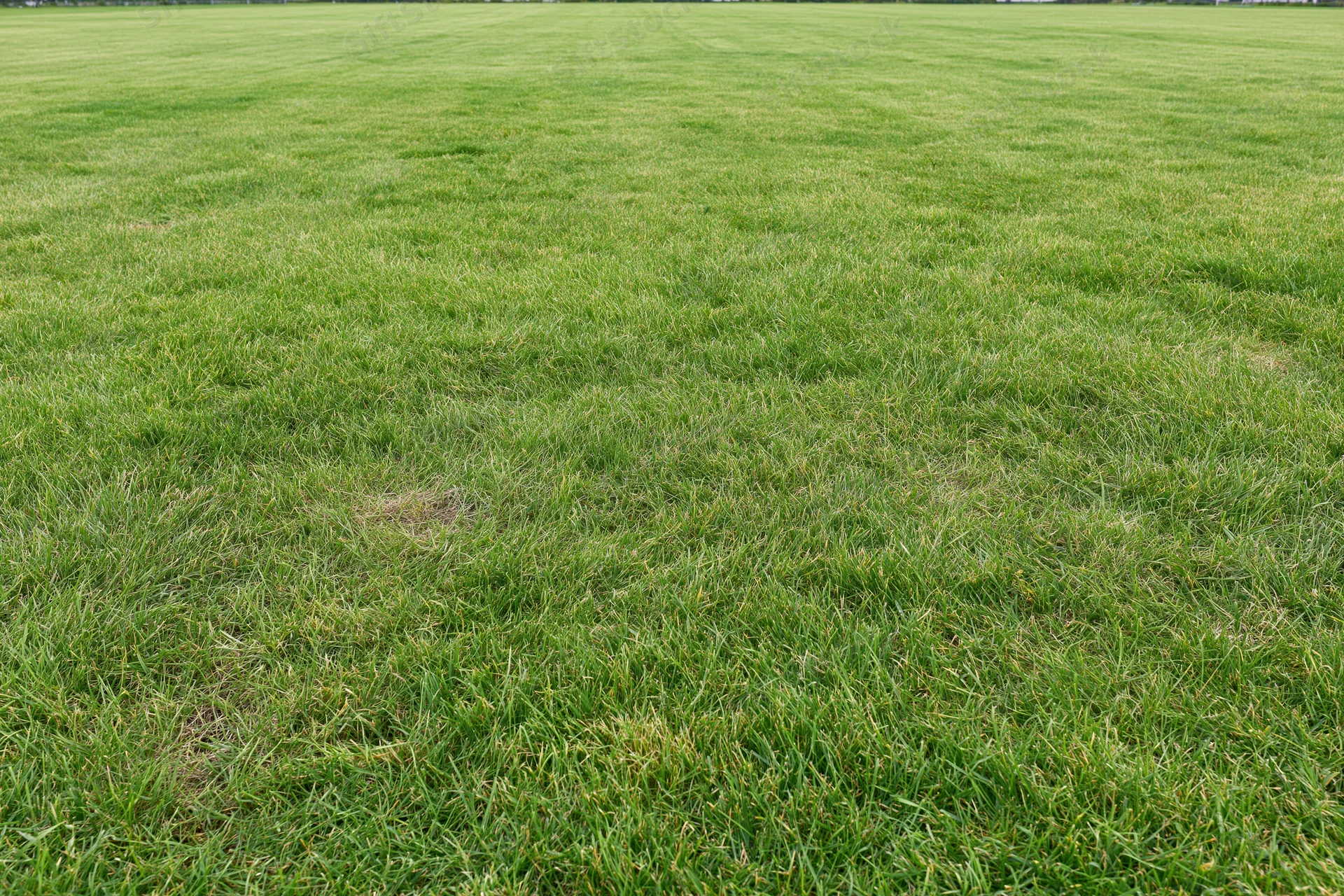 Freshly mowed grass field stretching to the horizon in open countryside