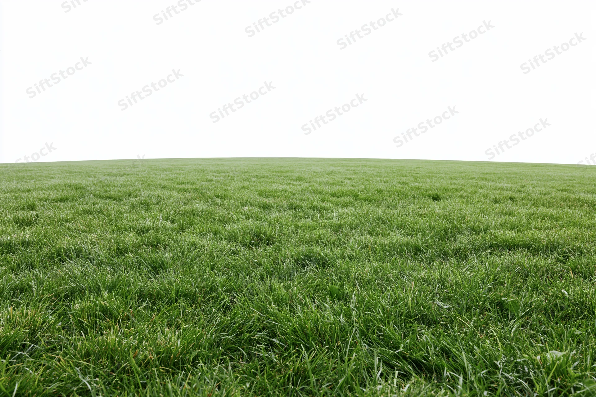 Freshly mowed grass field stretching to the horizon under a white sky