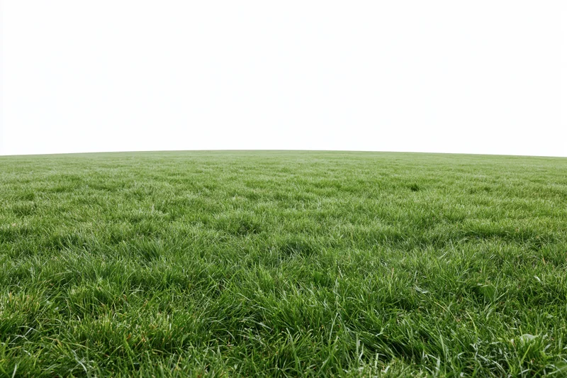 Freshly mowed grass field stretching to the horizon under a white sky