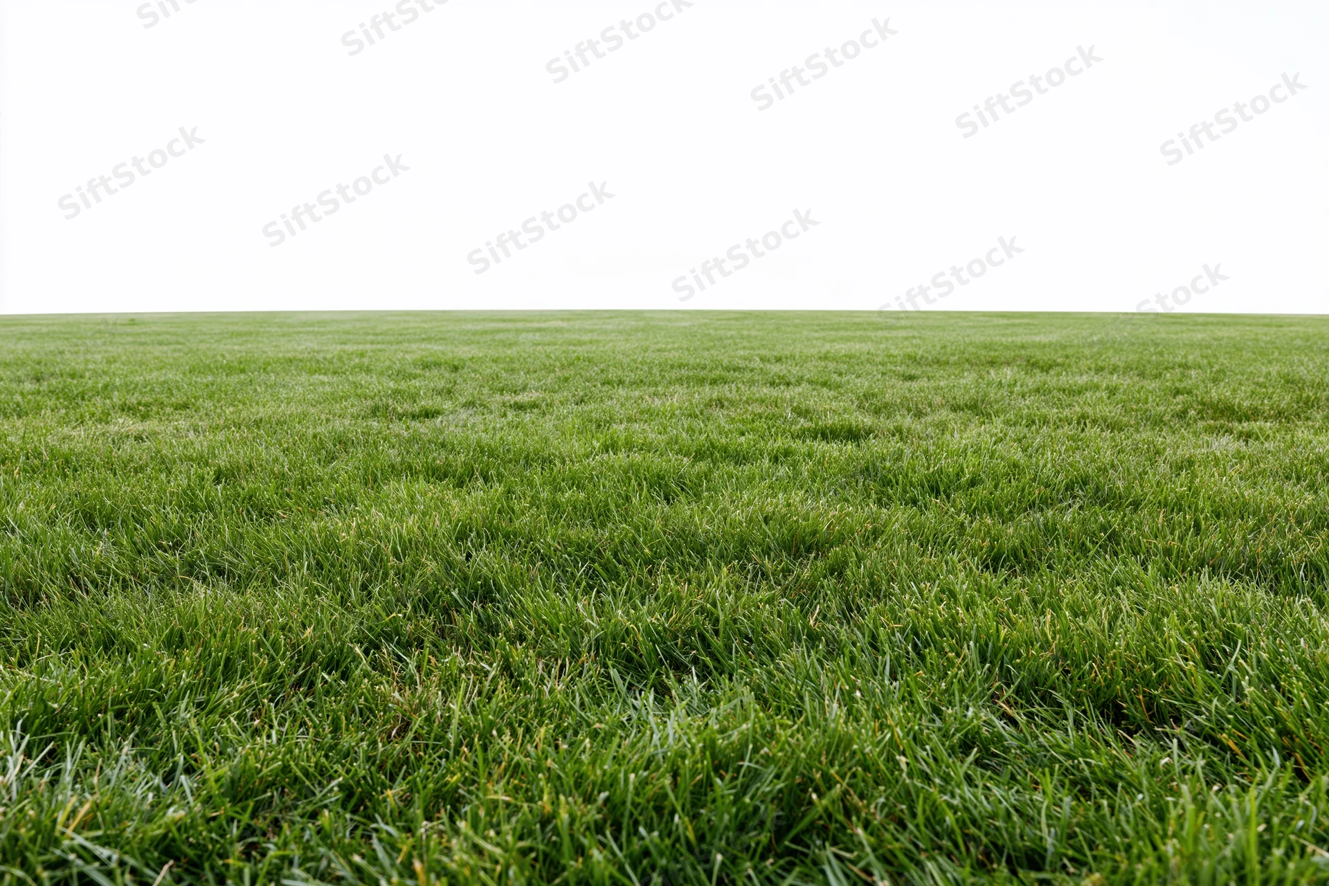 Freshly mowed grass field stretching to the horizon in a flat open landscape