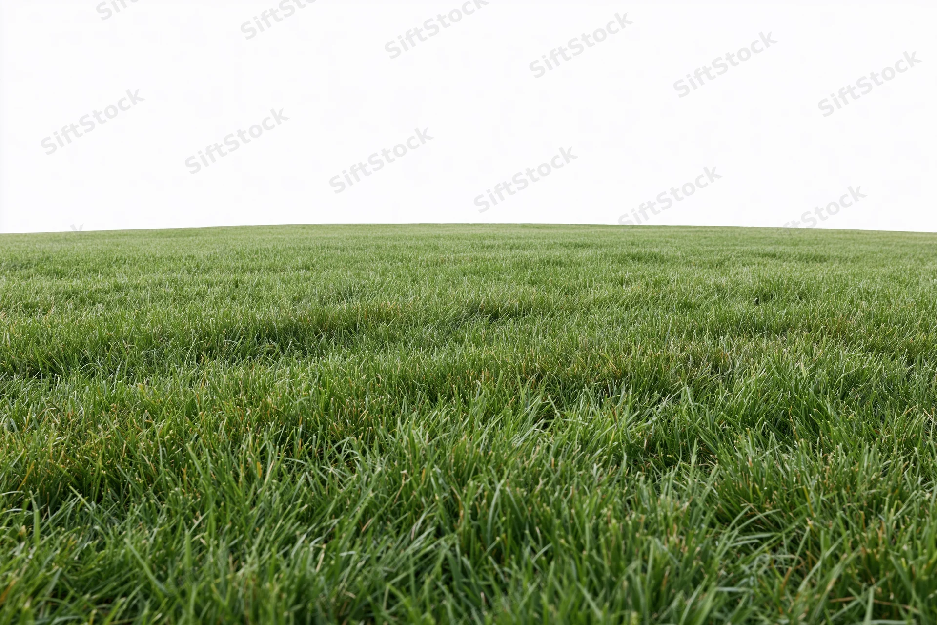 Freshly mowed grass field stretching to the horizon in a wide outdoor landscape