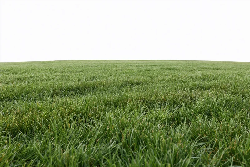 Freshly mowed grass field stretching to the horizon in a wide outdoor landscape
