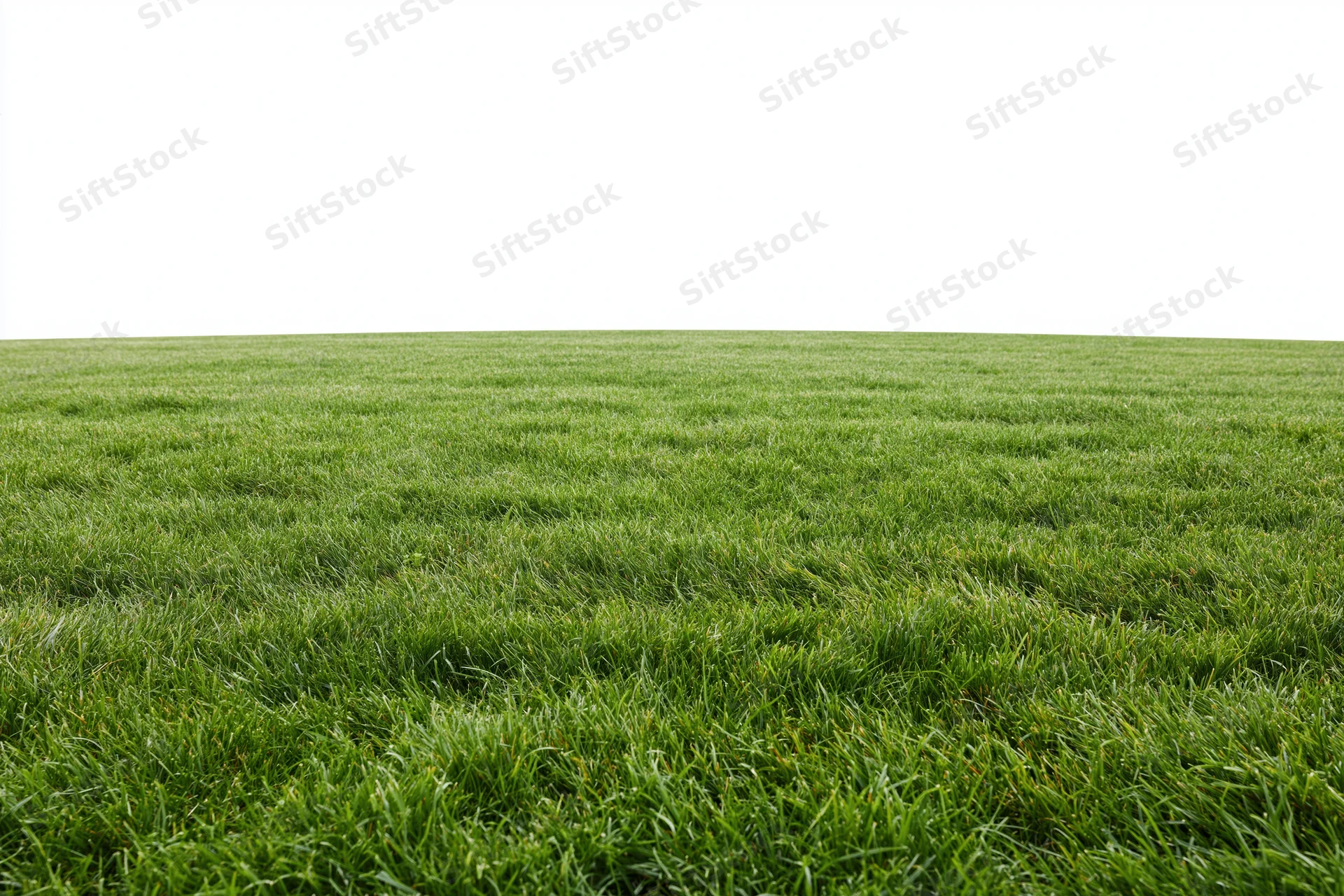 Freshly mowed grass field stretching to the horizon in a wide outdoor landscape