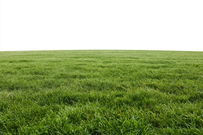 Freshly mowed grass field stretching to the horizon in a wide outdoor landscape