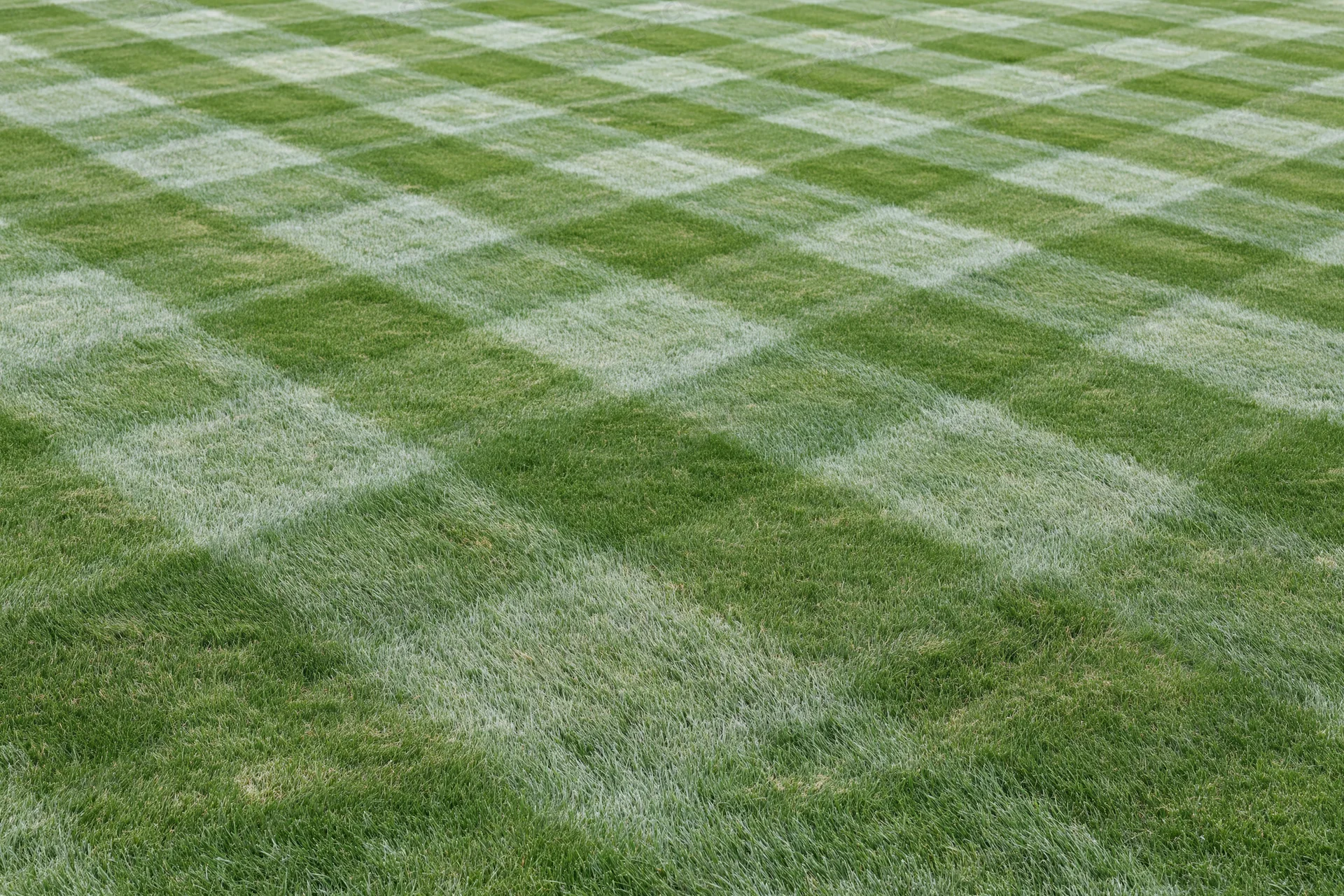 Freshly mowed grass field arranged in a diamond checkerboard pattern