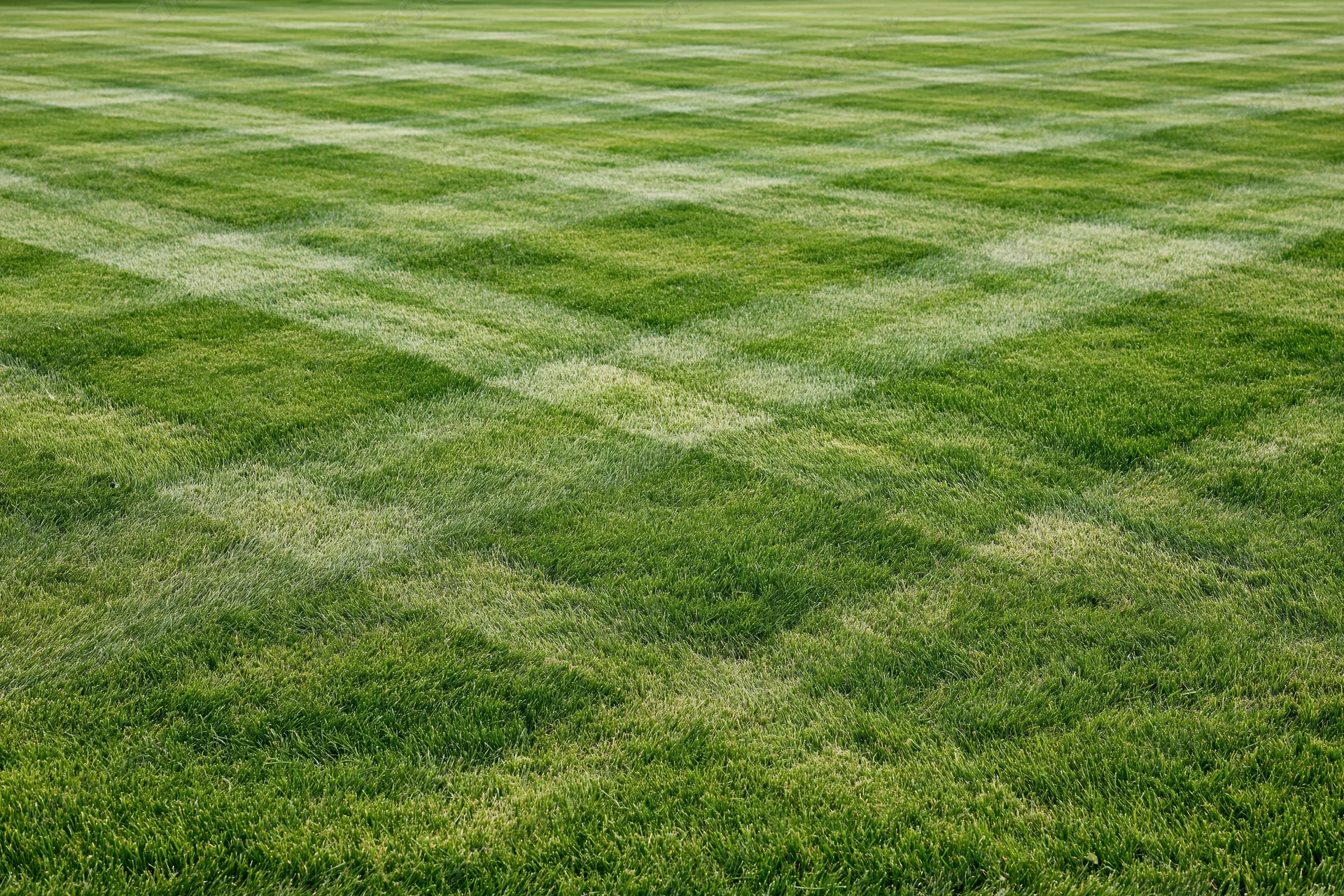 Freshly mowed grass field with diamond checkerboard pattern from alternating mowing directions