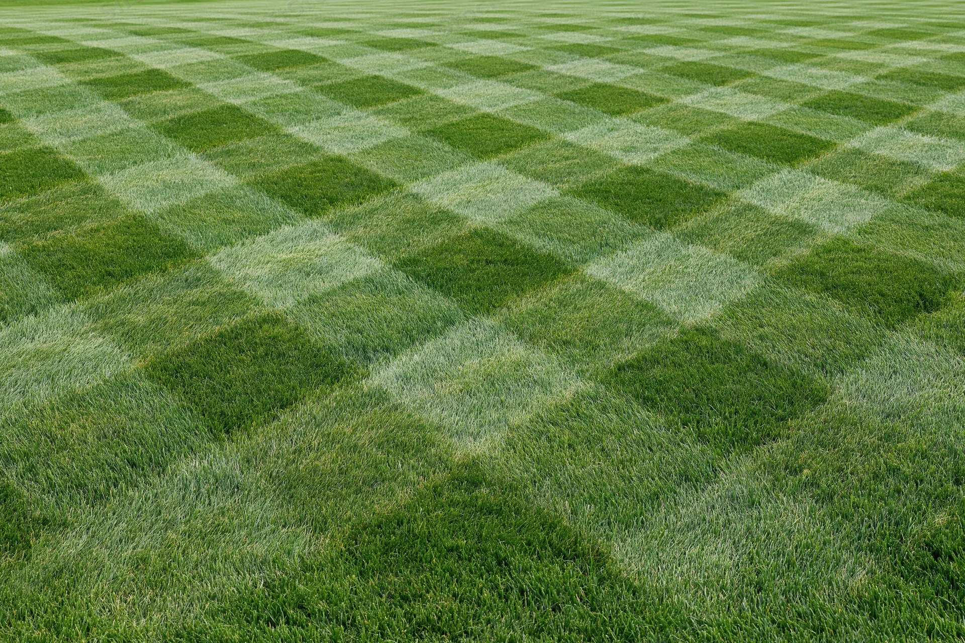 Freshly mowed grass field arranged in a diamond checkerboard pattern