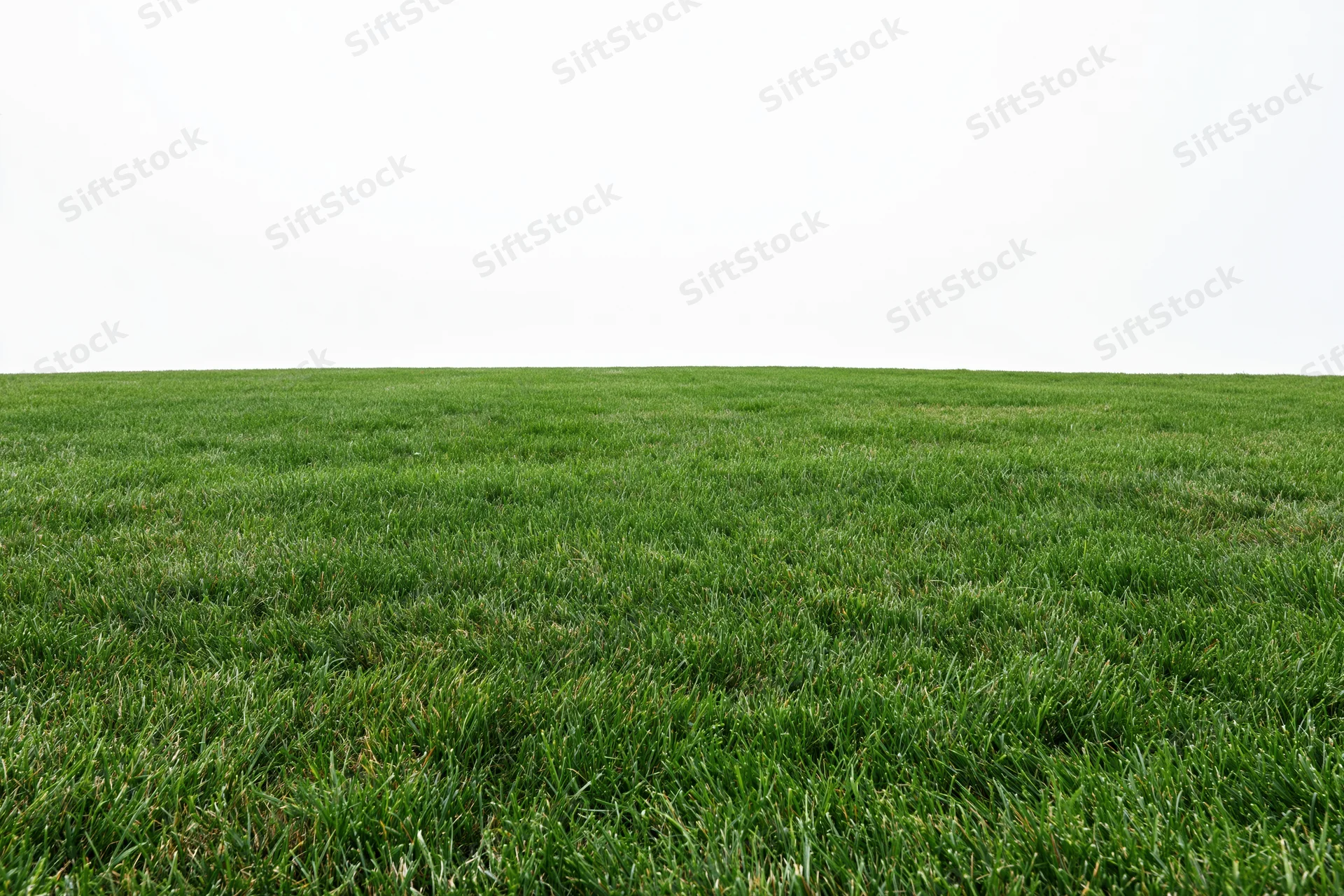 Freshly mowed grass field stretching to a flat horizon under a white sky