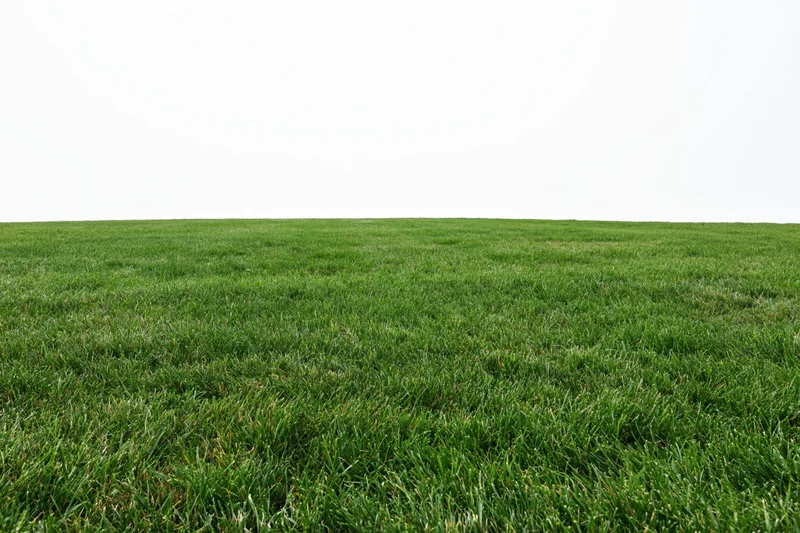 Freshly mowed grass field stretching to a flat horizon under a white sky