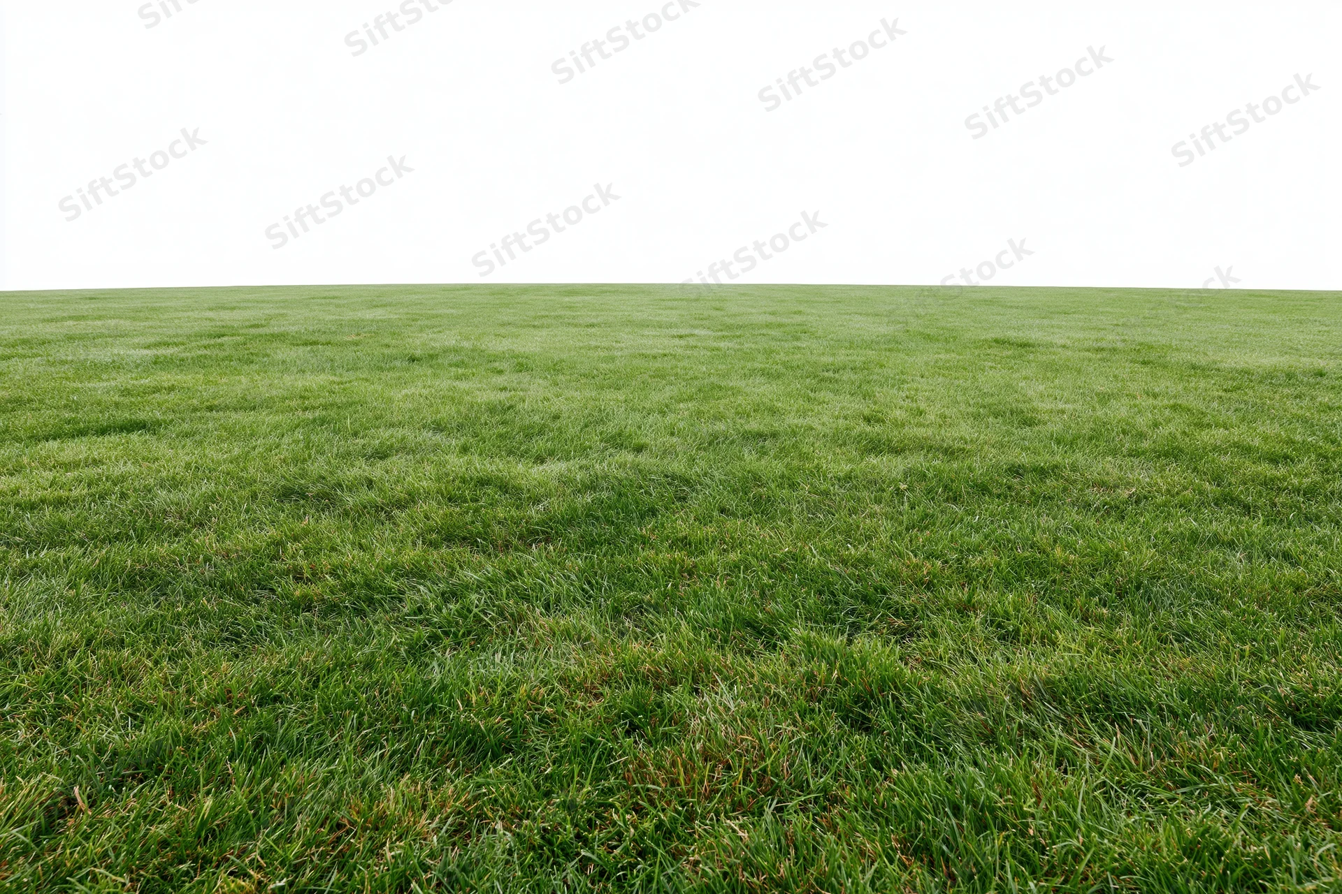 Freshly mowed grass field stretching to flat horizon under white sky