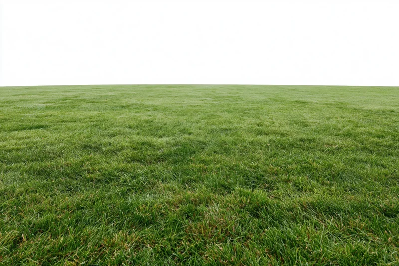 Freshly mowed grass field stretching to flat horizon under white sky
