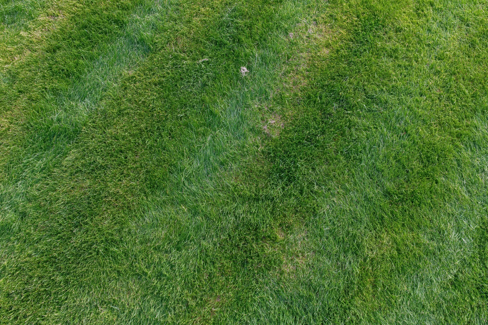 Freshly mowed grass lawn viewed from directly overhead