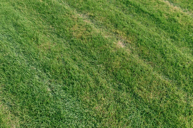 Freshly mowed grass lawn viewed from directly overhead showing striped pattern and green texture