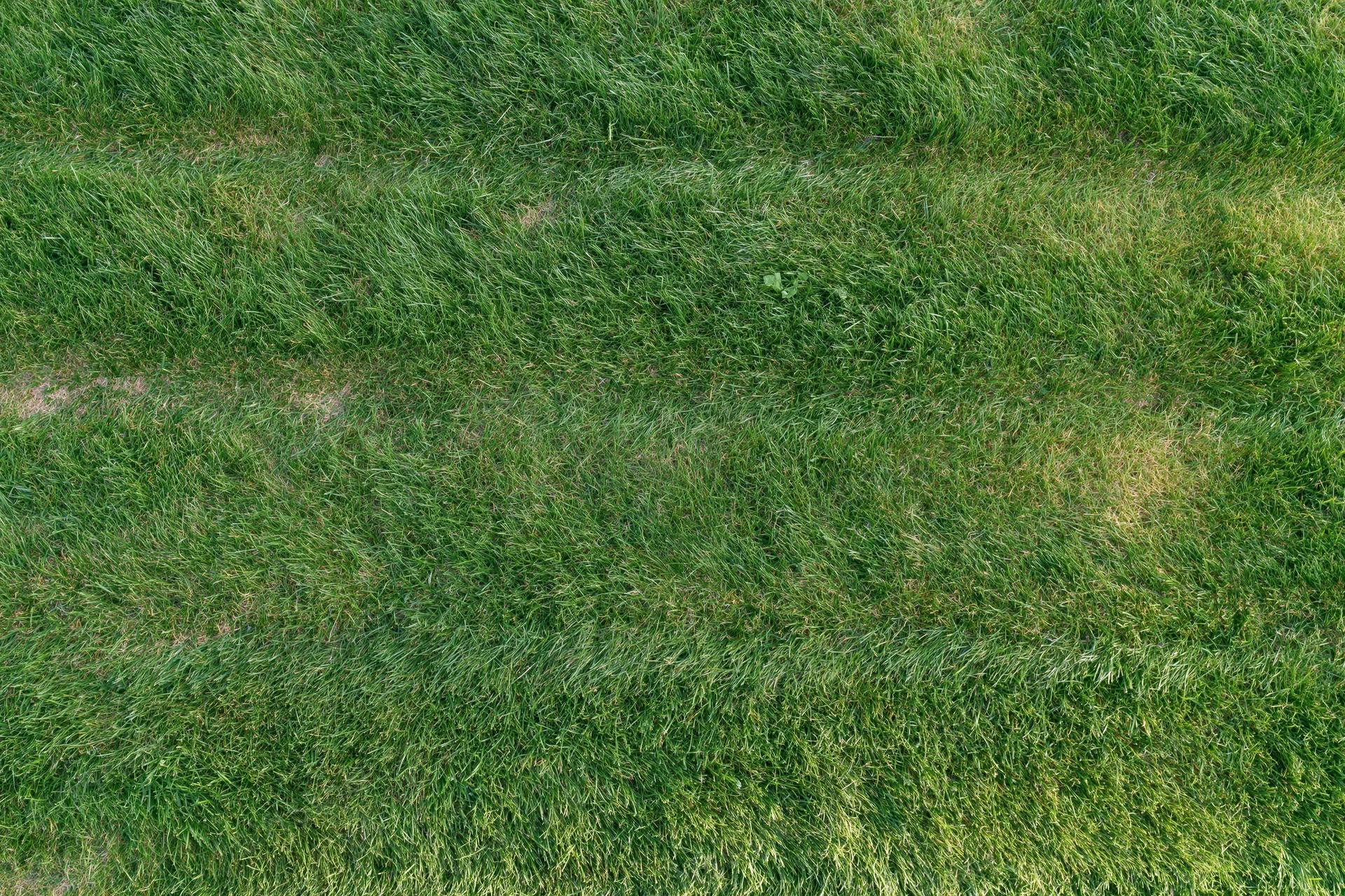 Freshly mowed grass lawn viewed from directly overhead showing striped pattern and scattered soil patches