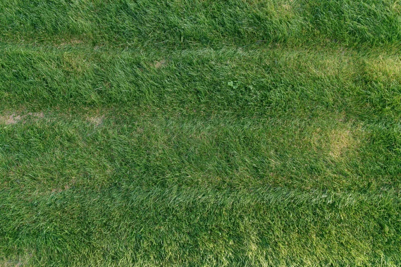 Freshly mowed grass lawn viewed from directly overhead showing striped pattern and scattered soil patches