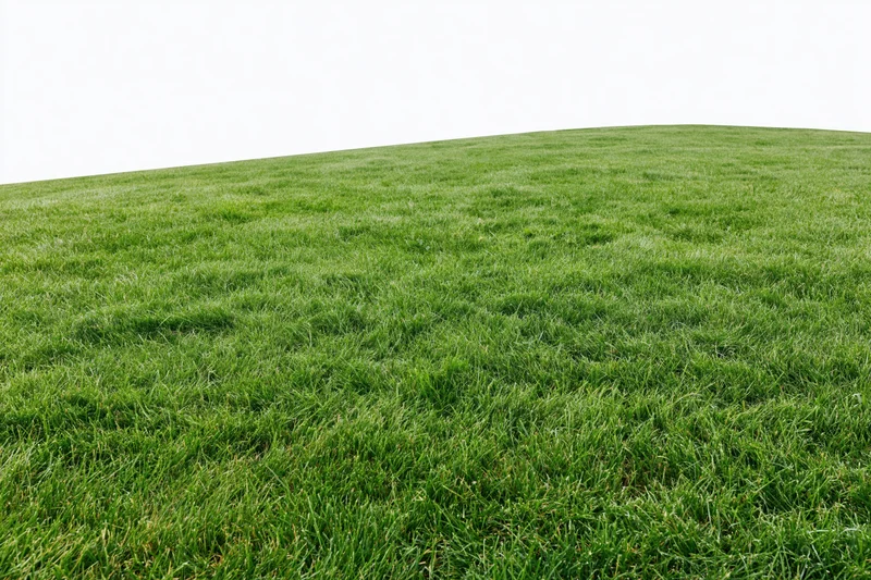 Freshly mowed green grass lawn sloping upward in an open outdoor space