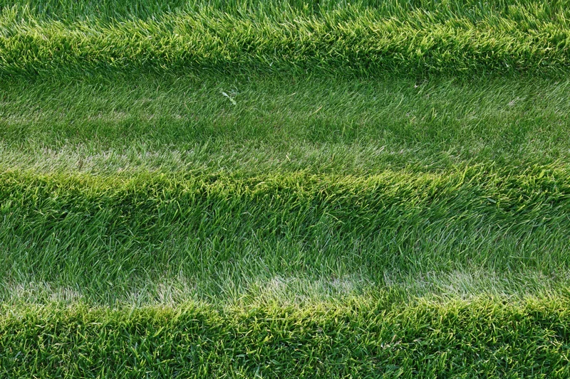 Freshly mowed green grass lawn with striped pattern viewed from above