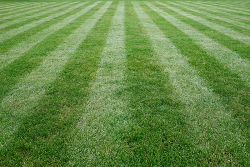 Freshly mowed lawn with alternating light and dark green stripes filling the frame