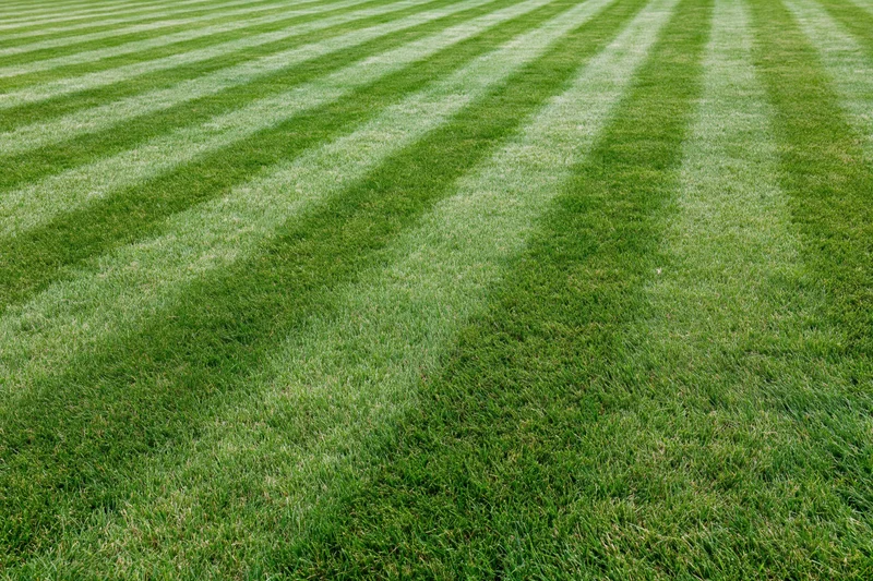 Freshly mowed lawn with alternating light and dark green stripes filling the frame