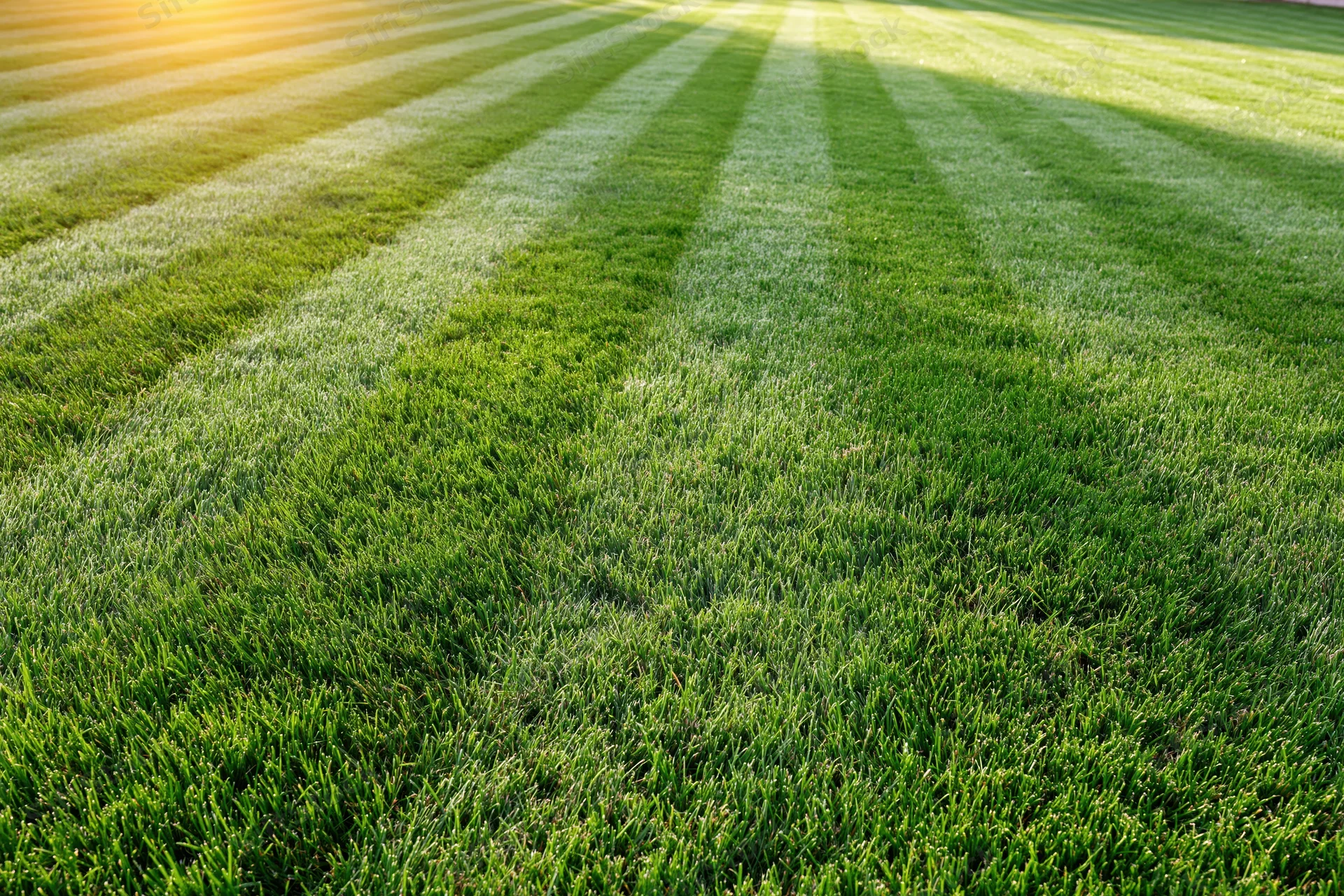 Freshly mowed lawn with alternating light and shadow stripes filling the frame