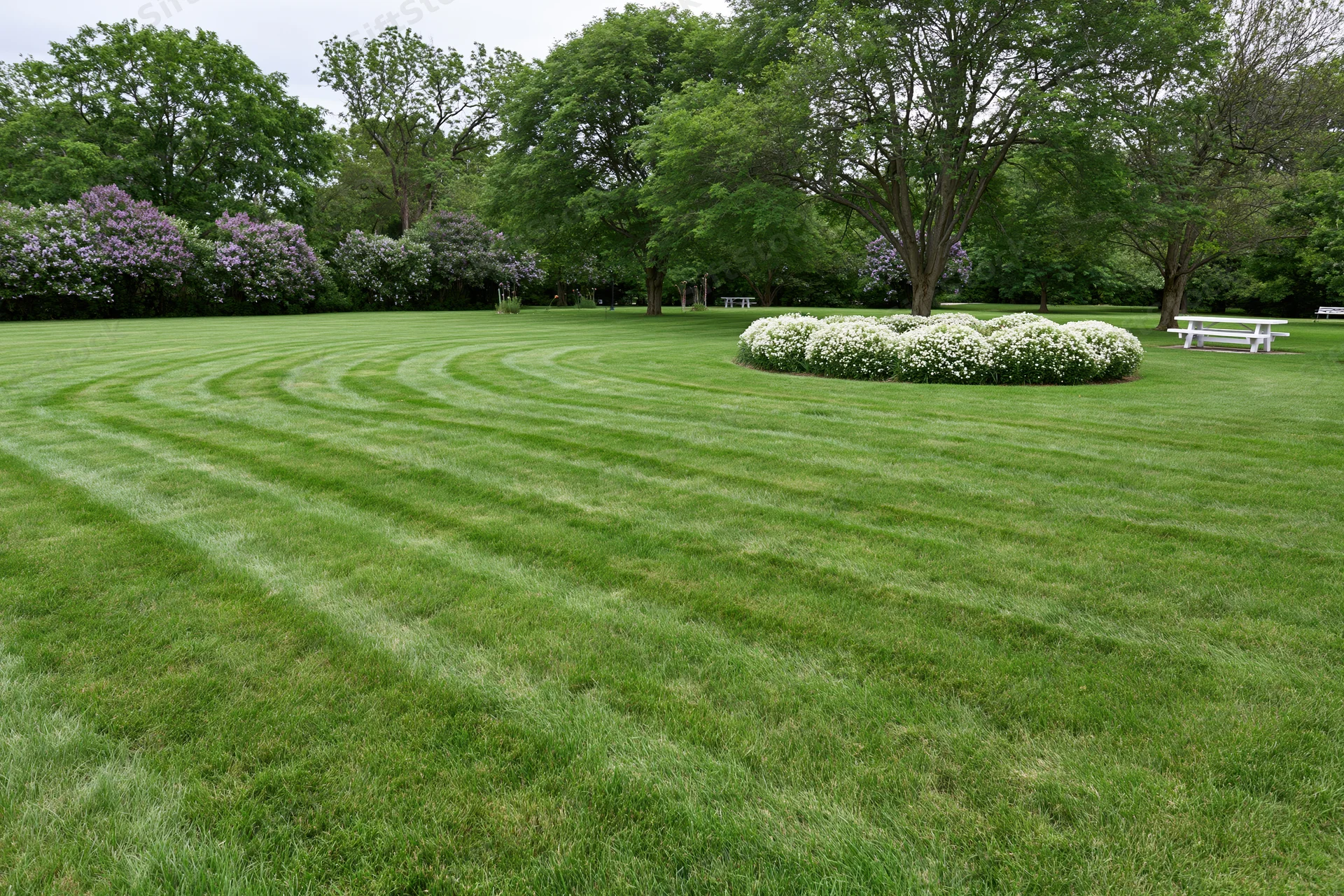 Freshly mowed lawn with striped pattern and circular flowerbed in public park