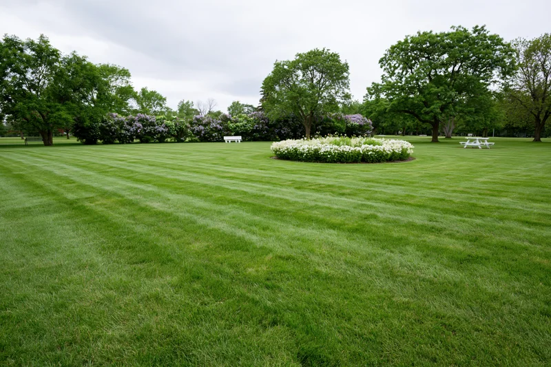 Freshly mowed lawn with striped pattern and circular flowerbed in public park