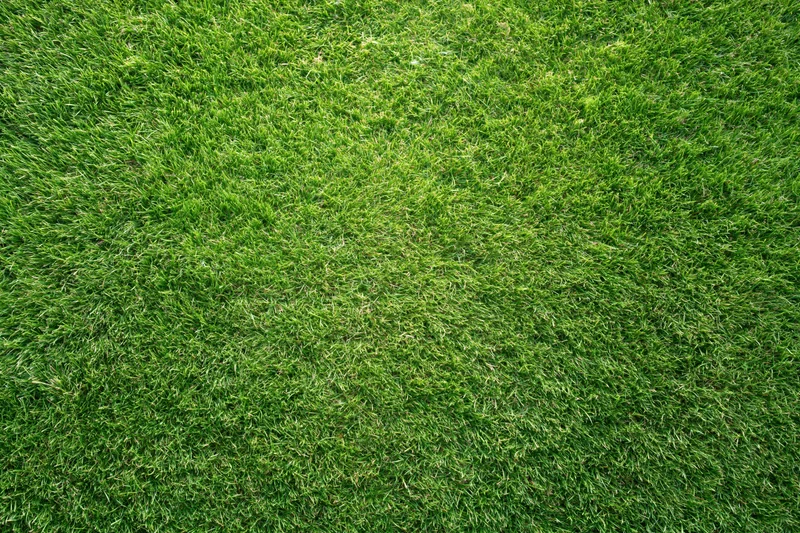 Freshly mowed short green grass covering the entire frame as a uniform surface