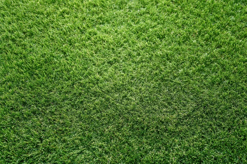 Freshly mowed short grass covering the ground in a flat even layer