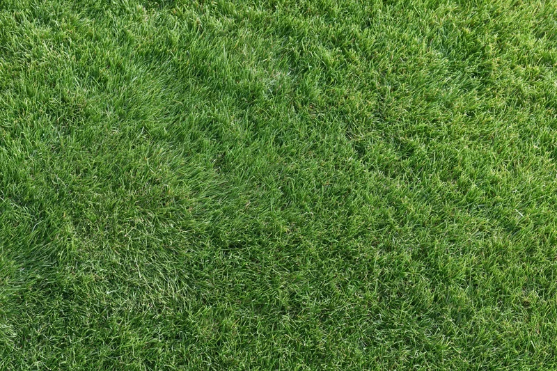 Short green grass lawn filling the frame flat and even