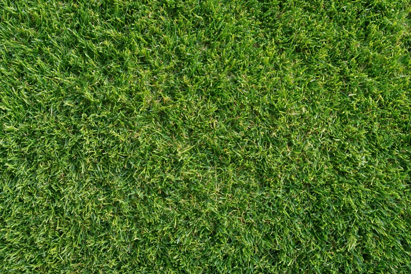 Freshly mowed short grass lawn filling the frame from overhead view