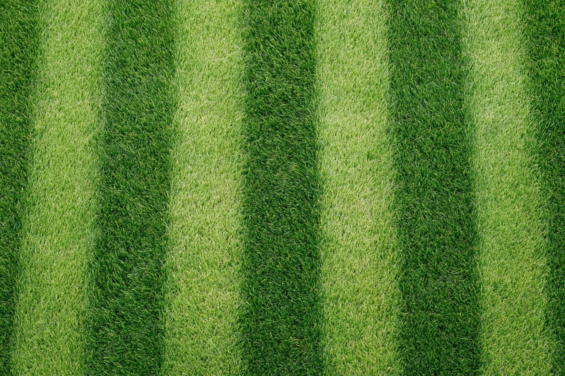 Freshly mowed grass with striped pattern on a soccer field viewed from above