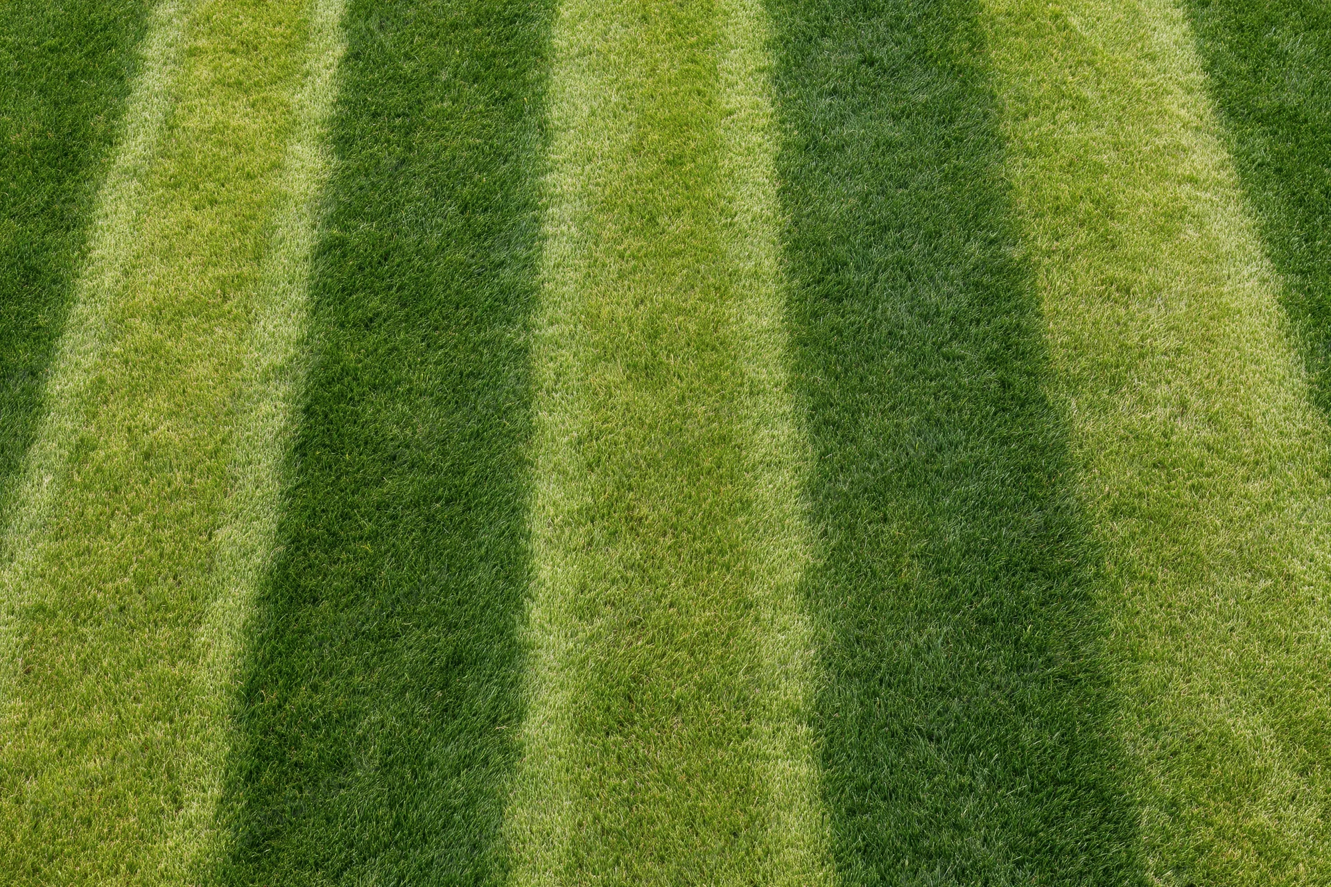 Freshly mowed soccer field grass with alternating green stripes viewed from above