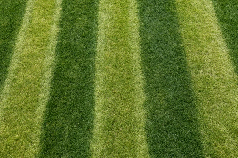 Freshly mowed soccer field grass with alternating green stripes viewed from above
