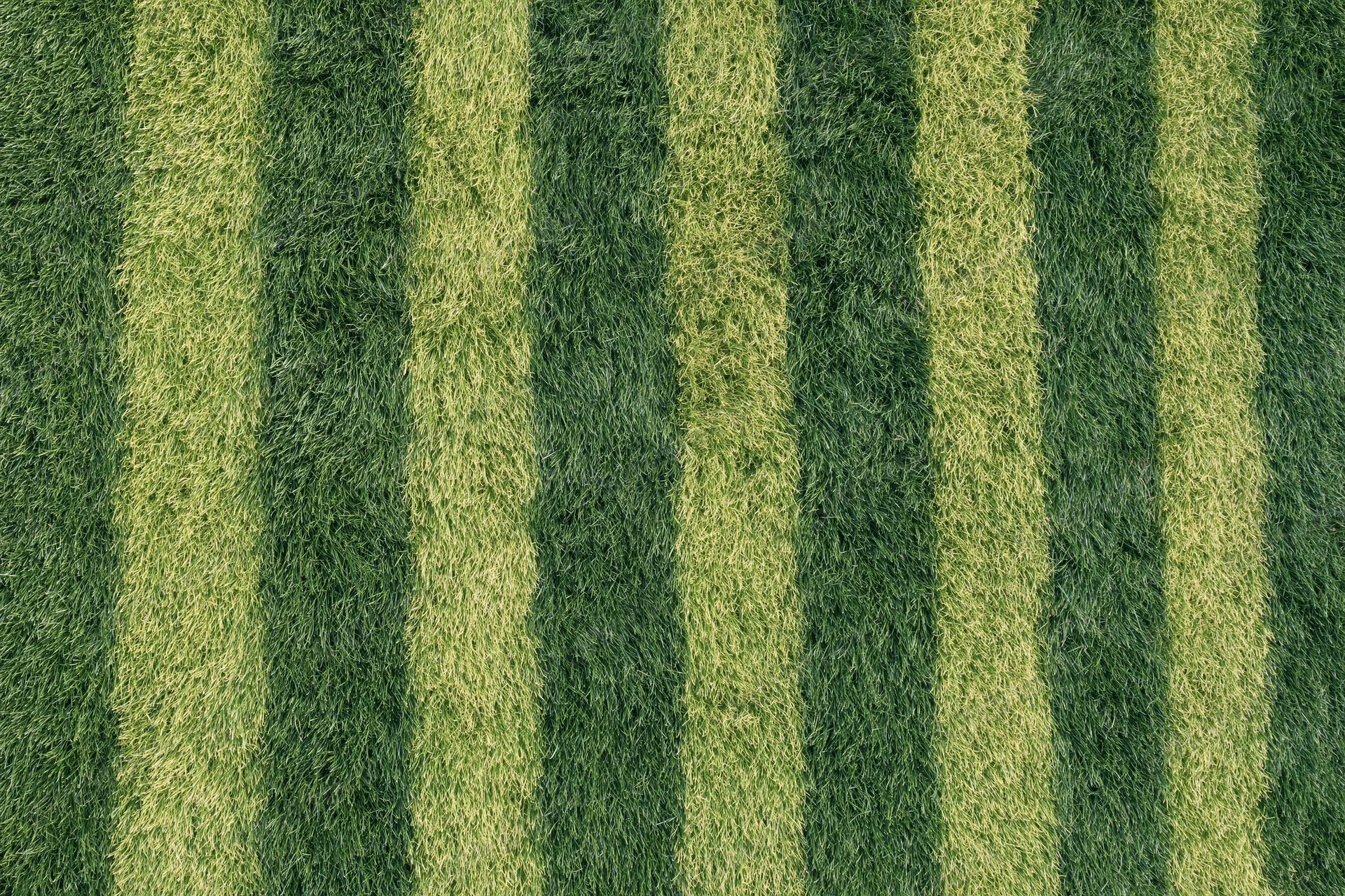 Striped grass pattern on a mowed soccer field viewed from directly above