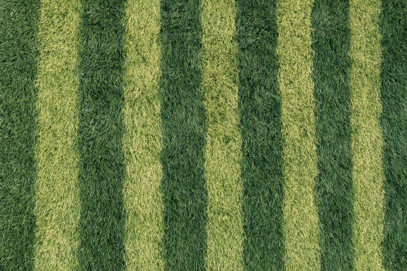 Striped grass pattern on a mowed soccer field viewed from directly above