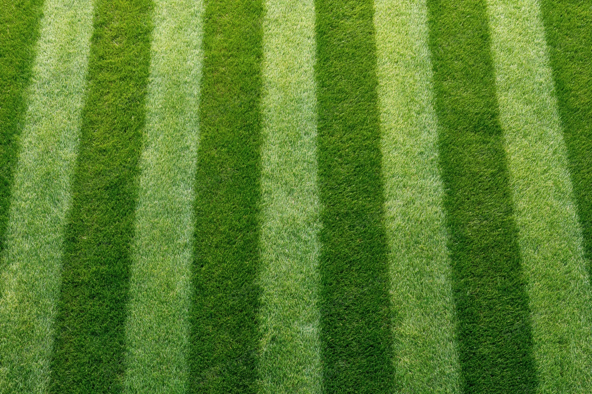 Freshly mowed grass with alternating green and light stripes on a soccer field